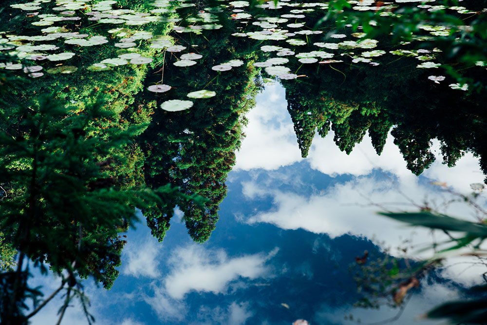🏞️ 후타타비 공원 (再度公園) 이미지 6